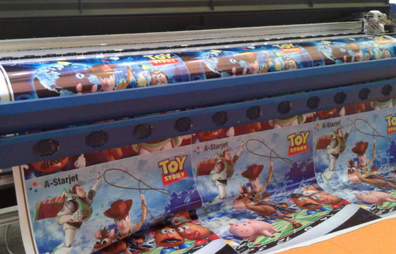 Stampanti a getto di inchiostro solventi amichevoli di Eco DX5 Eco con colore di CMYK/l'inchiostro sublimazione della tintura
